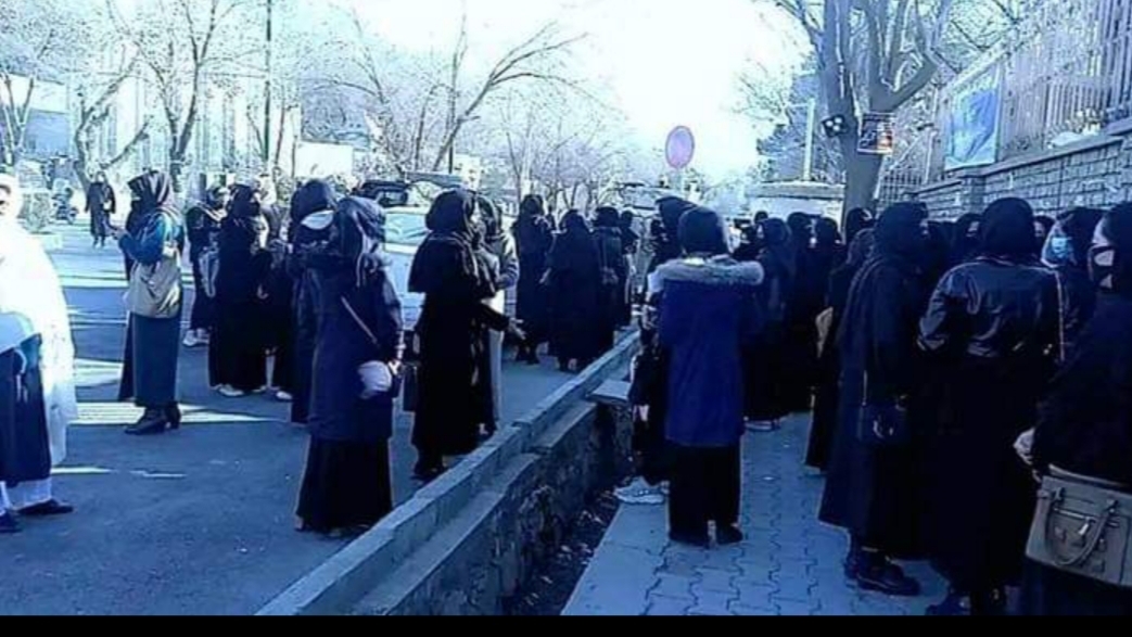 طالبان: