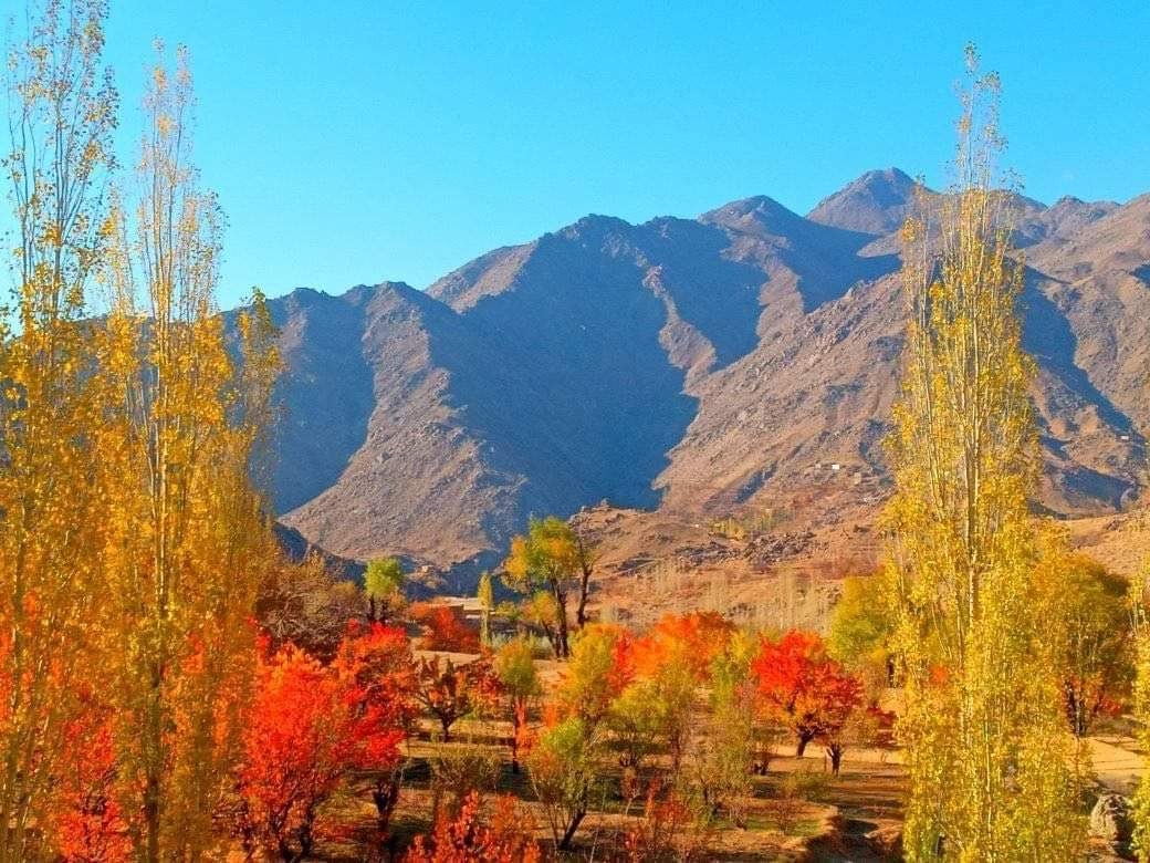 جسد یک مرد در روستای قادی ولسوالی جاغوری پیدا شد ـ مجلهی اورال جسد یک مرد در روستای قادی ولسوالی جاغوری پیدا شد ـ مجلهی اورال