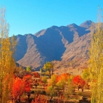 جسد یک مرد در روستای قادی ولسوالی جاغوری پیدا شد ـ مجلهی اورال جسد یک مرد در روستای قادی ولسوالی جاغوری پیدا شد ـ مجلهی اورال