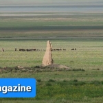 آمادگی کوچی‌ها برای زراعت در دشت ناور و نگرانی مردم محل