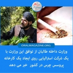 طالبان: با شرکت استرالیایی بر سر ایجاد کارخانه چرس به توافق رسیدهایم طالبان: با شرکت استرالیایی بر سر ایجاد کارخانه چرس به توافق رسیدهایم