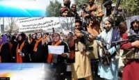 ذبیح‌الله مجاهد، ایران در مقابل حقوق زنان پاسخگو باشد