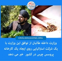 طالبان: با شرکت استرالیایی بر سر ایجاد کارخانه چرس به توافق رسیده‌ایم